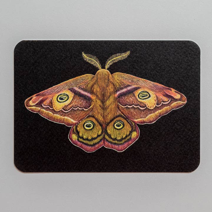 Postkort DEN ANDEN KEJSER for engroshandel hos Studio Binck