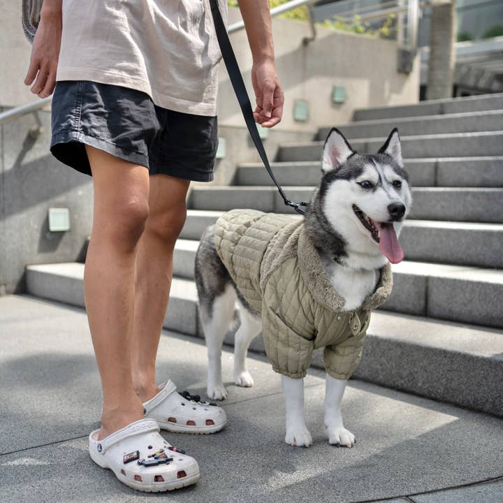 Lambwolf Collective - Wholesale Pet Coat - Dog - SOHO//DOG CLOTHING//APPAREL