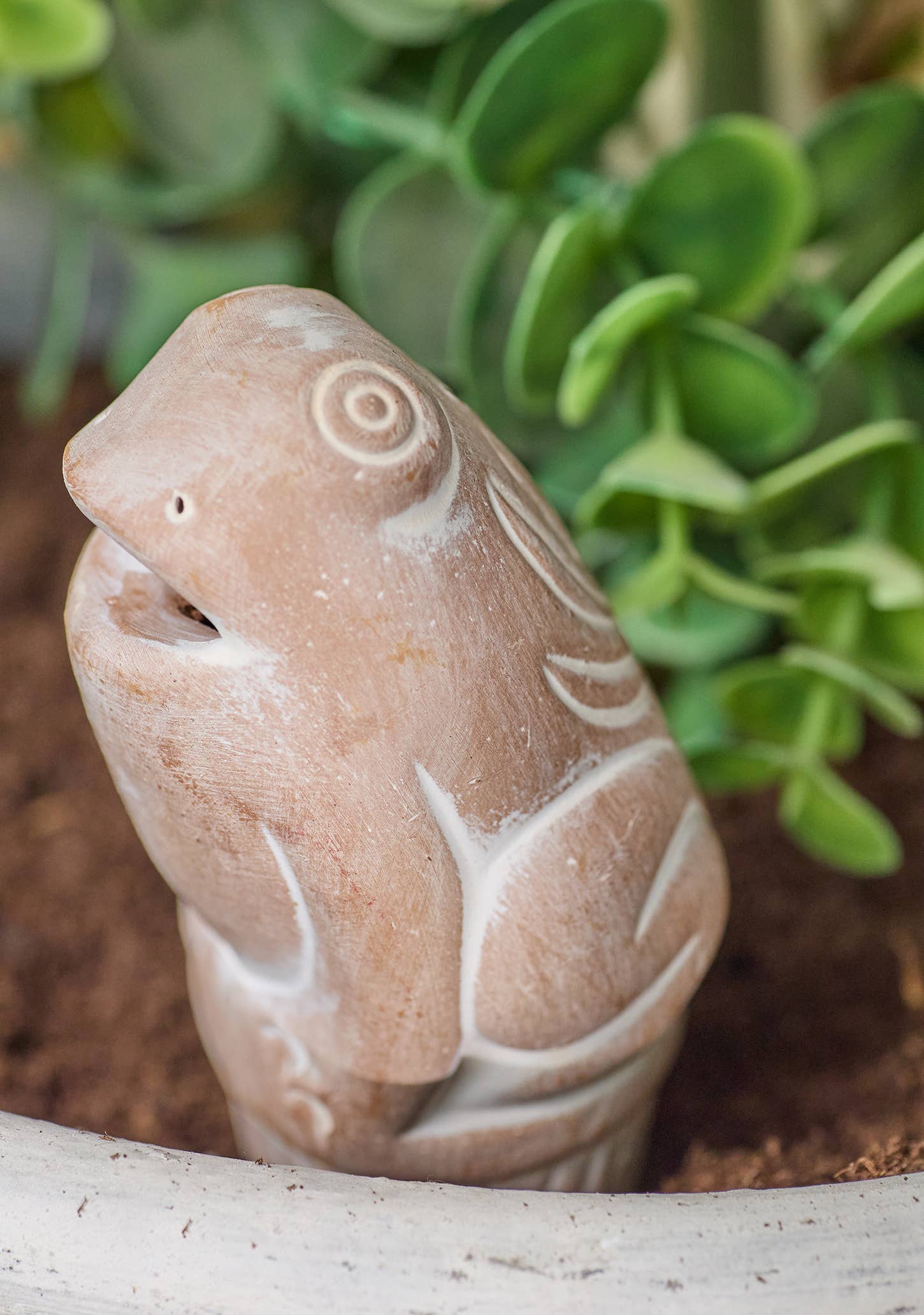 Namaste – wholesale Garden tool – Terracotta Frog Plant Watering Spike1