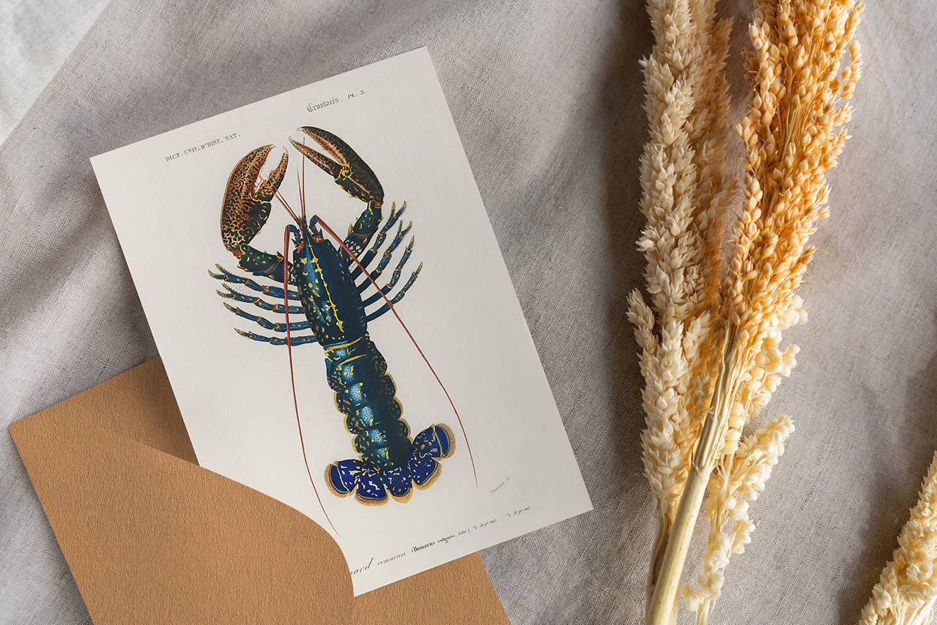 Esque - Vendita all'ingrosso Cartoline - Cartolina vintage con aragosta0