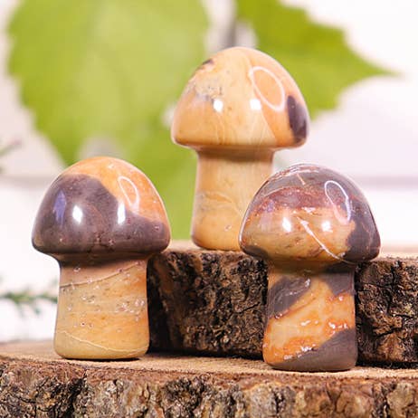 Tiger Jasper Mushroom - Tiger Jasper Gemstone for wholesale by Natures Artifacts Inc