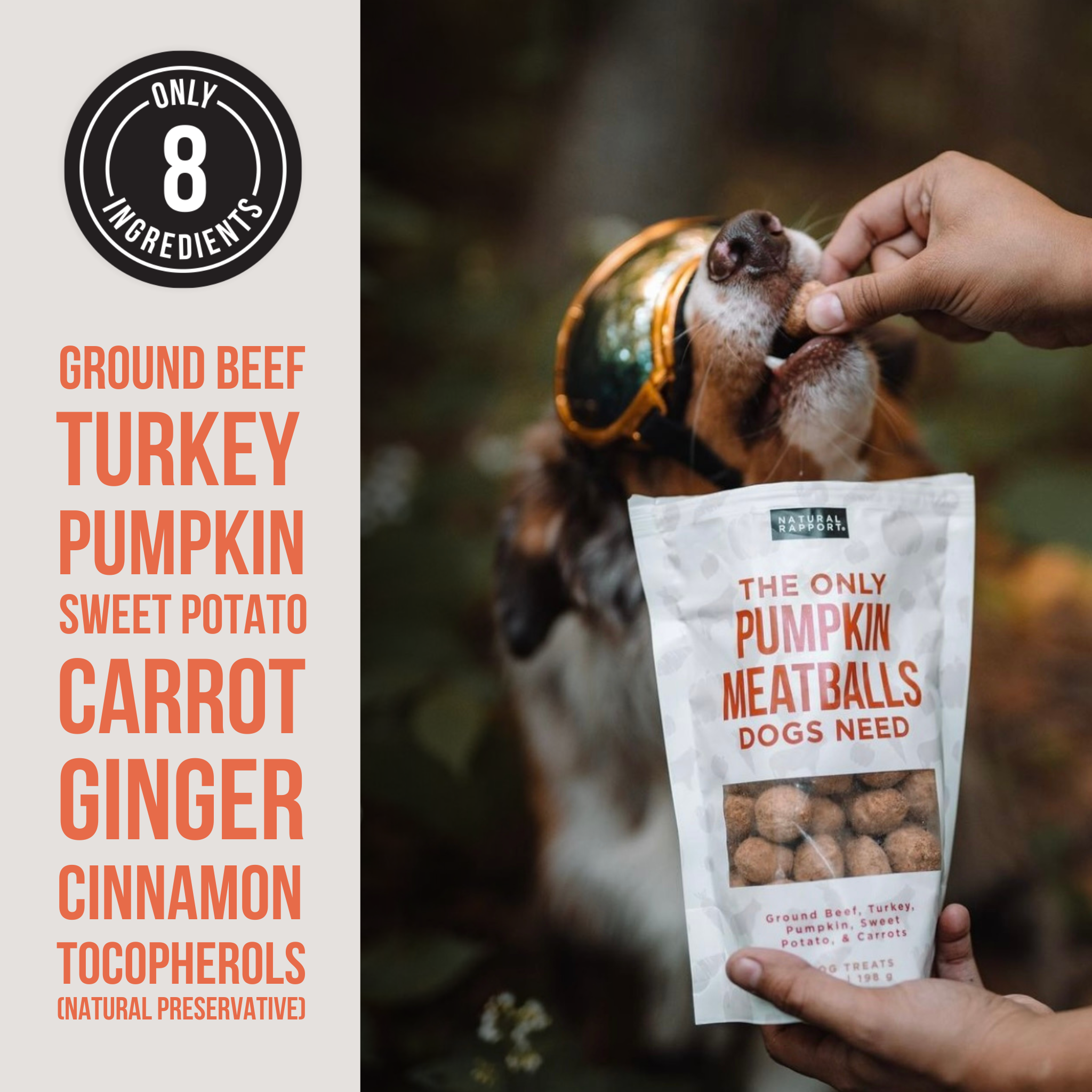 Natural Rapport - Wholesale Pet Treats - Dog - The Only Freeze Dried Pumpkin Meatballs Dogs Need2