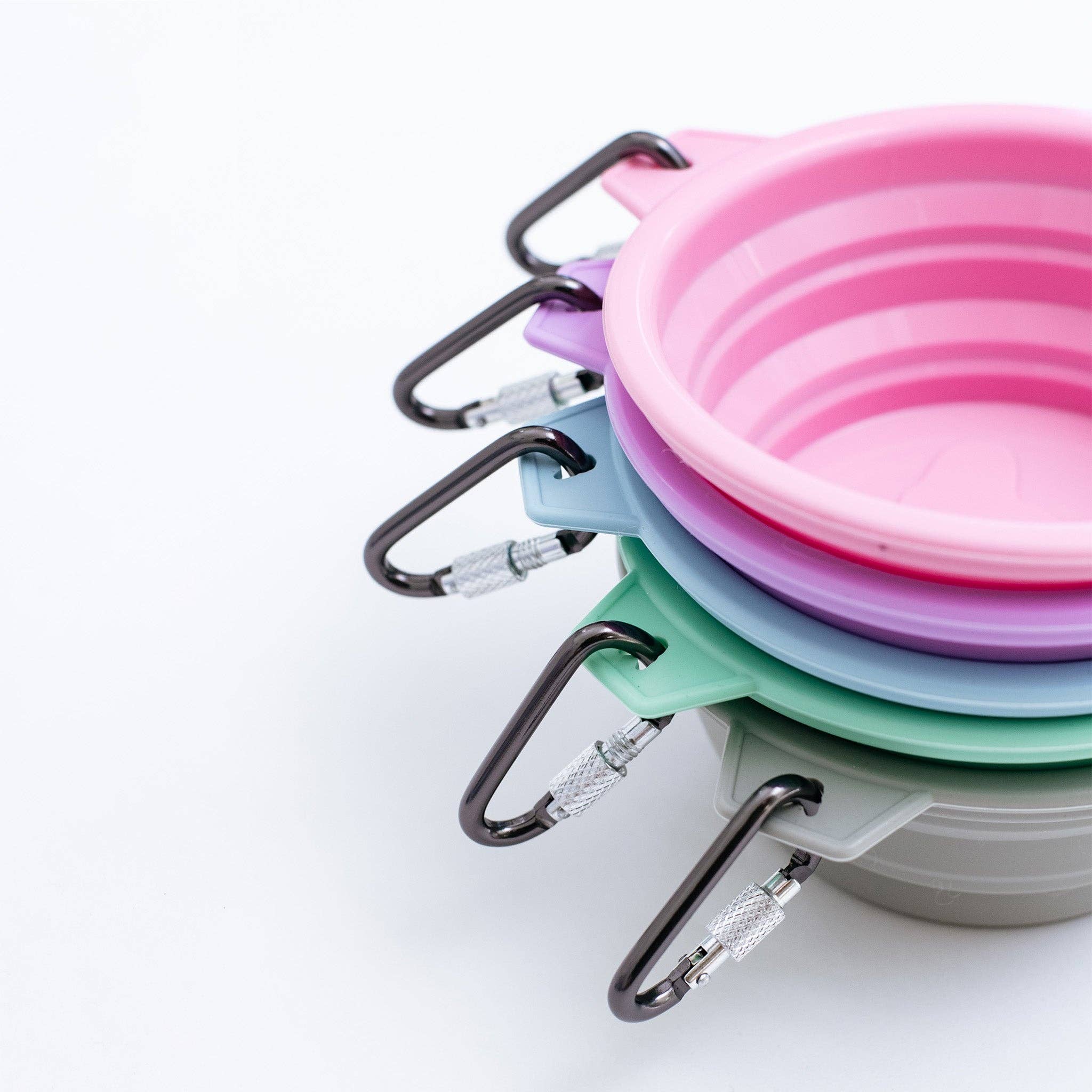 Frenchie - Wholesale Pet Travel Bowl - Dog - Frenchie Travel Bowl17