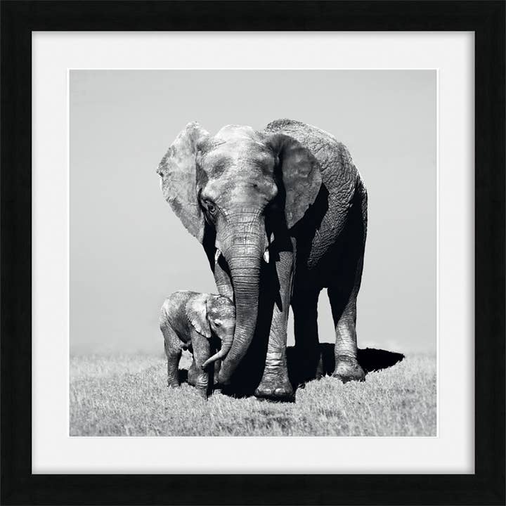Duma Ancell (Stay Close) Pre-Framed Prints for wholesale by The Art Group