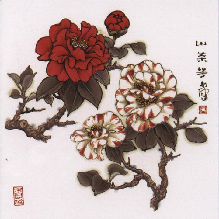 CATCH 12X12 CARTES DOUBLES NC 35789 pour la vente par Phenicia