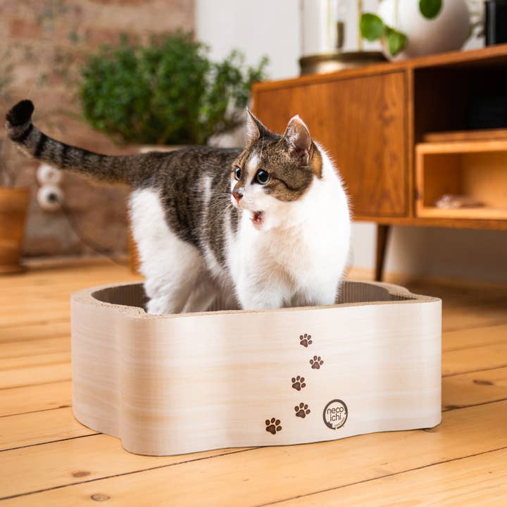 MOON-X USA, INC. - Wholesale Pet Scratcher - Cat - Cat-Headed Scratcher Bed (Birch)