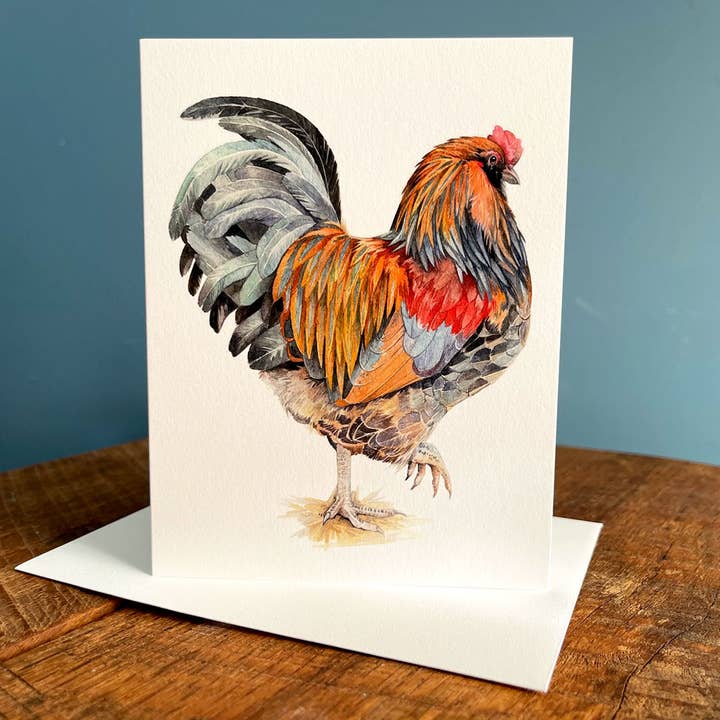 Amy Shawley Paquette - Wholesale Everyday Greeting Card - Easter Egger Rooster - Blank Note Card