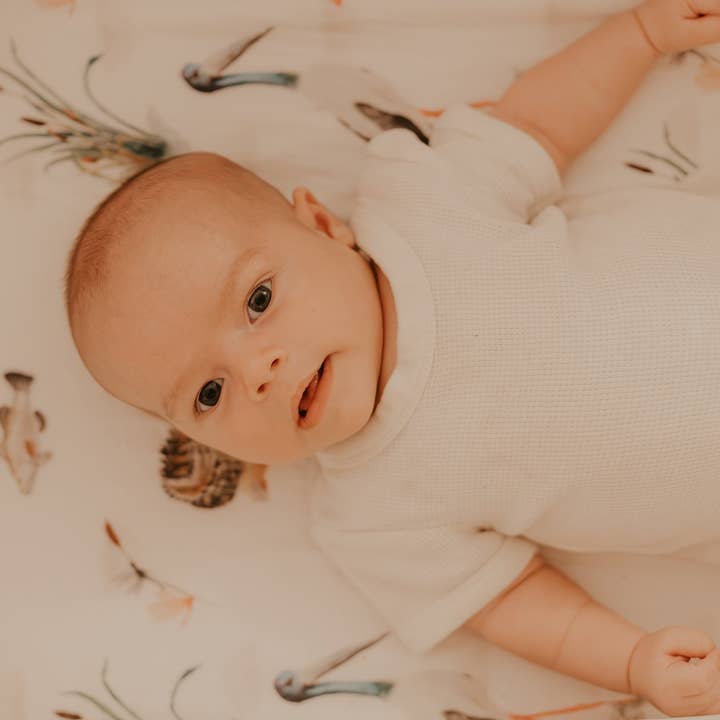 Bassinet/Skiftepudebetræk for engroshandel hos McMinis