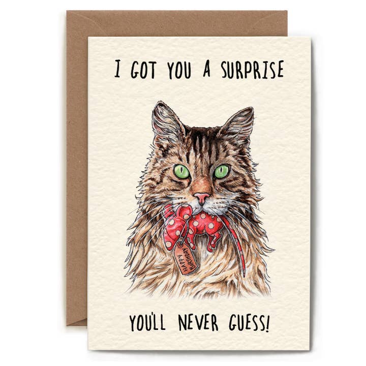 Birthday Surprise Card for wholesale by Hester & Cook - Stationery