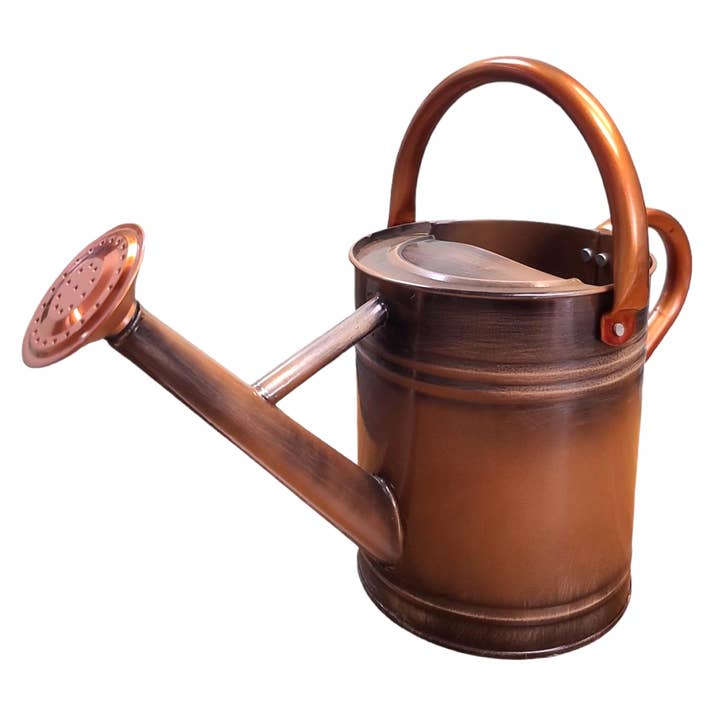 Lexi Home 3-Liter Removable Spout Watering Cans for wholesale by Lexi Home