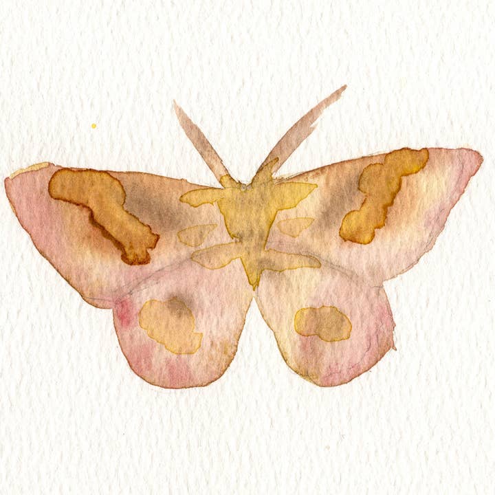 Moth II for wholesale by AG Print Shop