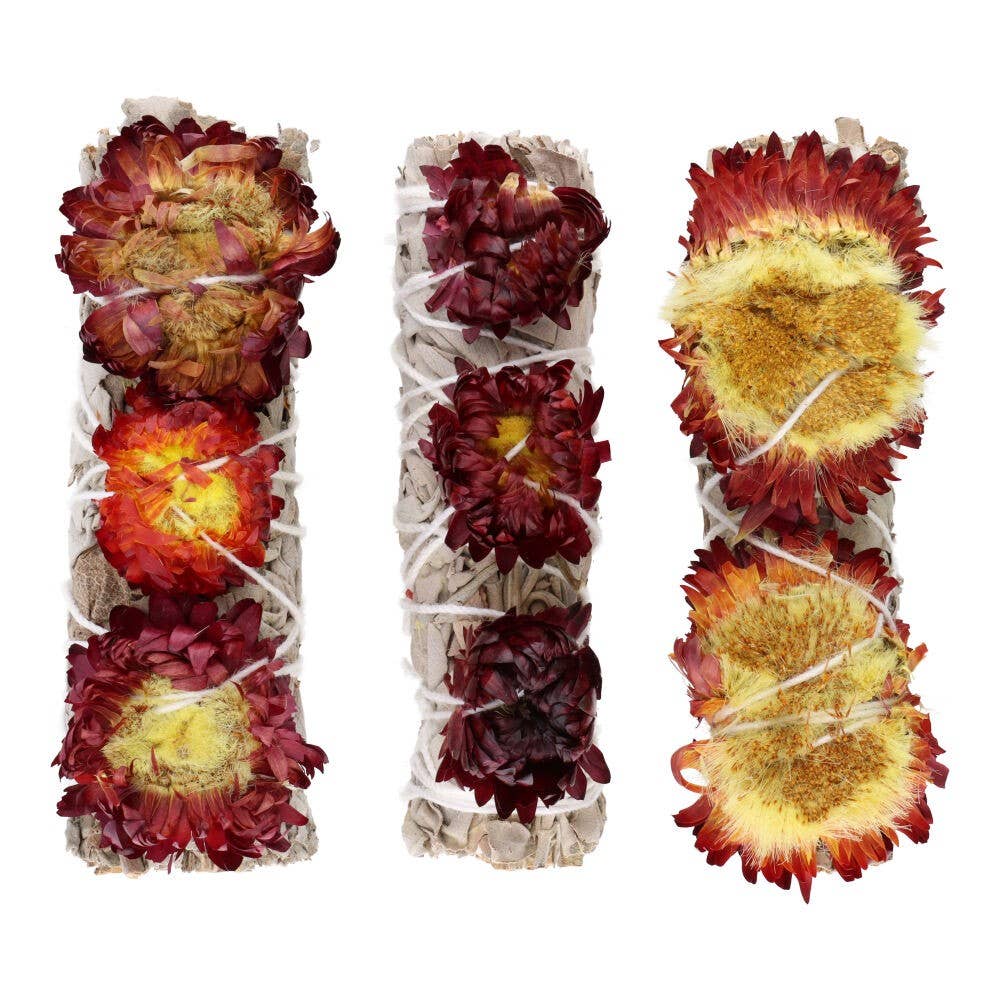 Vives de la Cortada S.L - Venta al por mayor Salvia - Salvia blanca con Siempreviva2