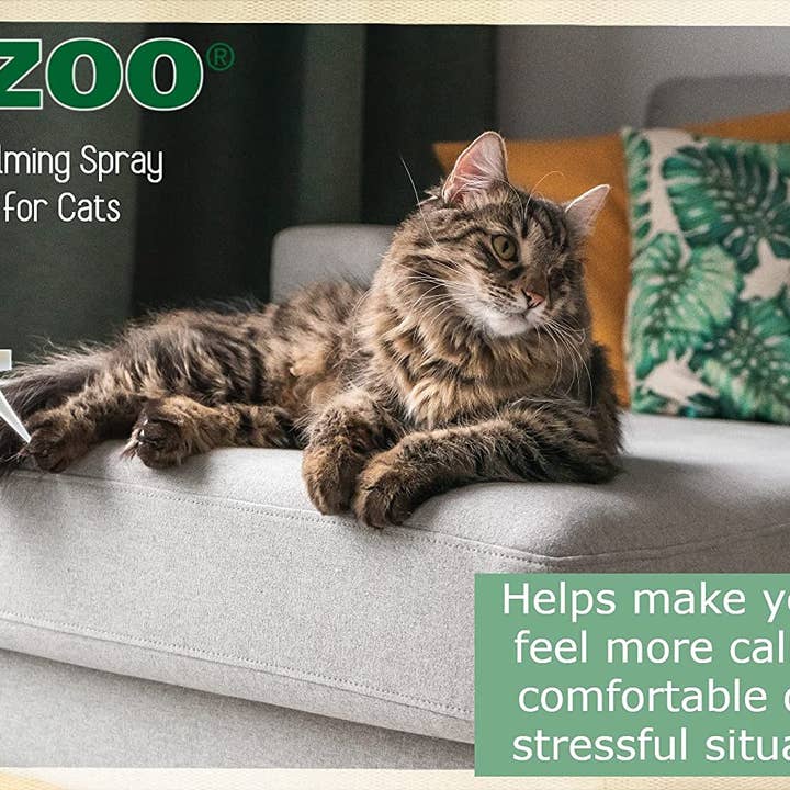 ALZOO - Vente Compléments alimentaires – chat et chien - Spray calmant à base de plantes ALZOO pour chat, 3,4 oz4