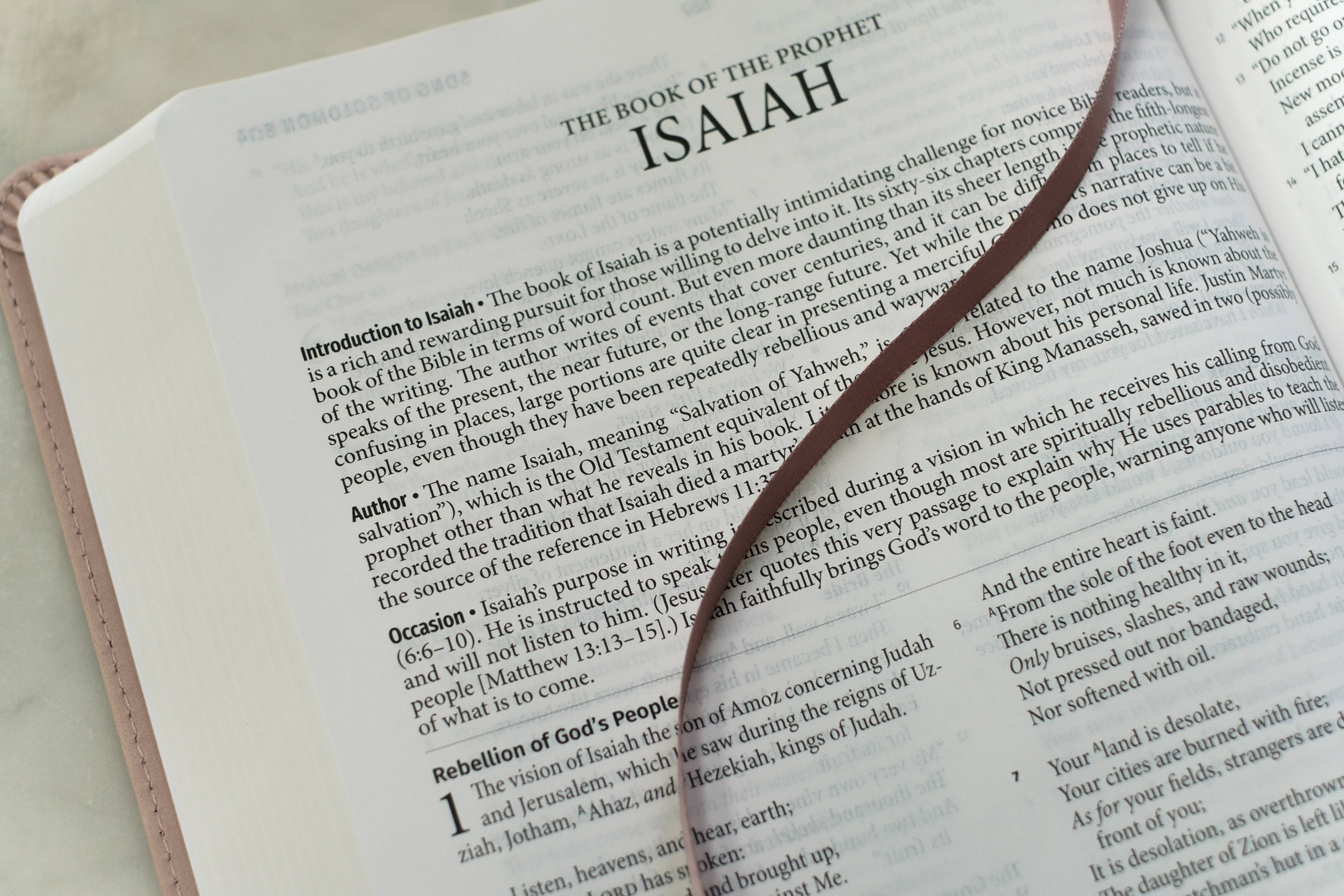 Barbour Publishing, Inc. - Wholesale Religion - Light for Life NASB Study Bible (Blush Bouquet)12