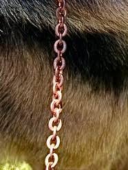 La laisse pour chien en cuivre pour la vente par Made in Love Doggy Couture and Therapy Products