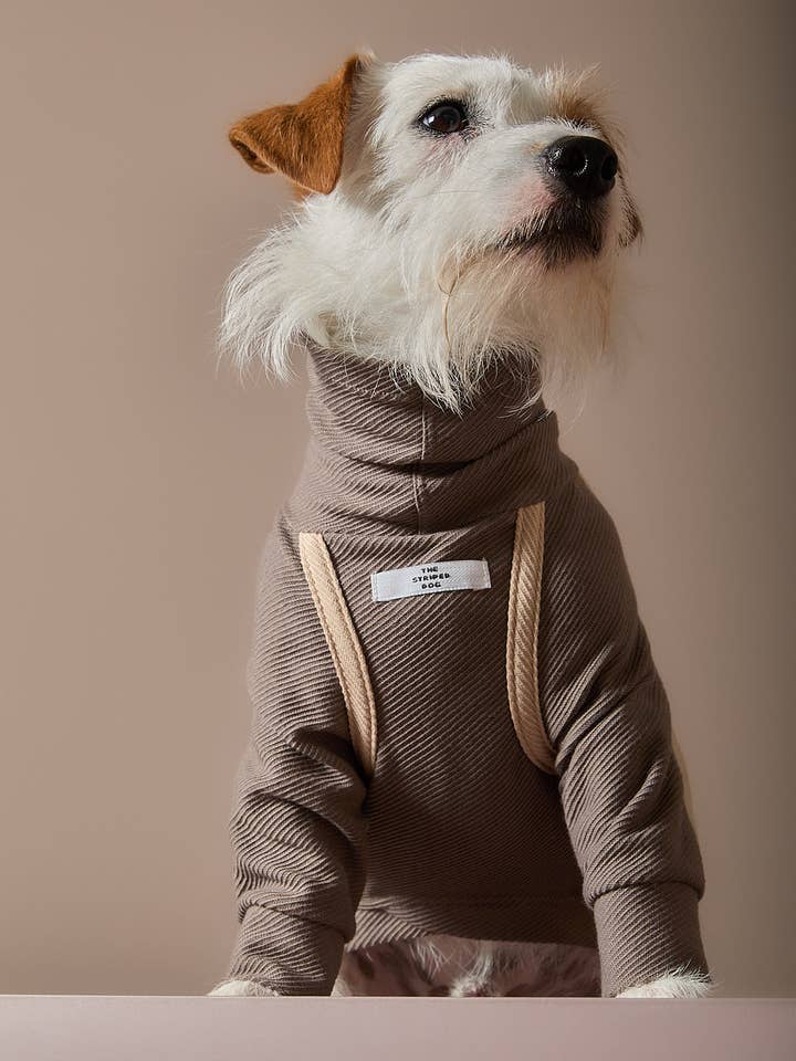Taupe Rollkragenpullover mit Patches CAIRO für den Großhandel von The Striped Dog