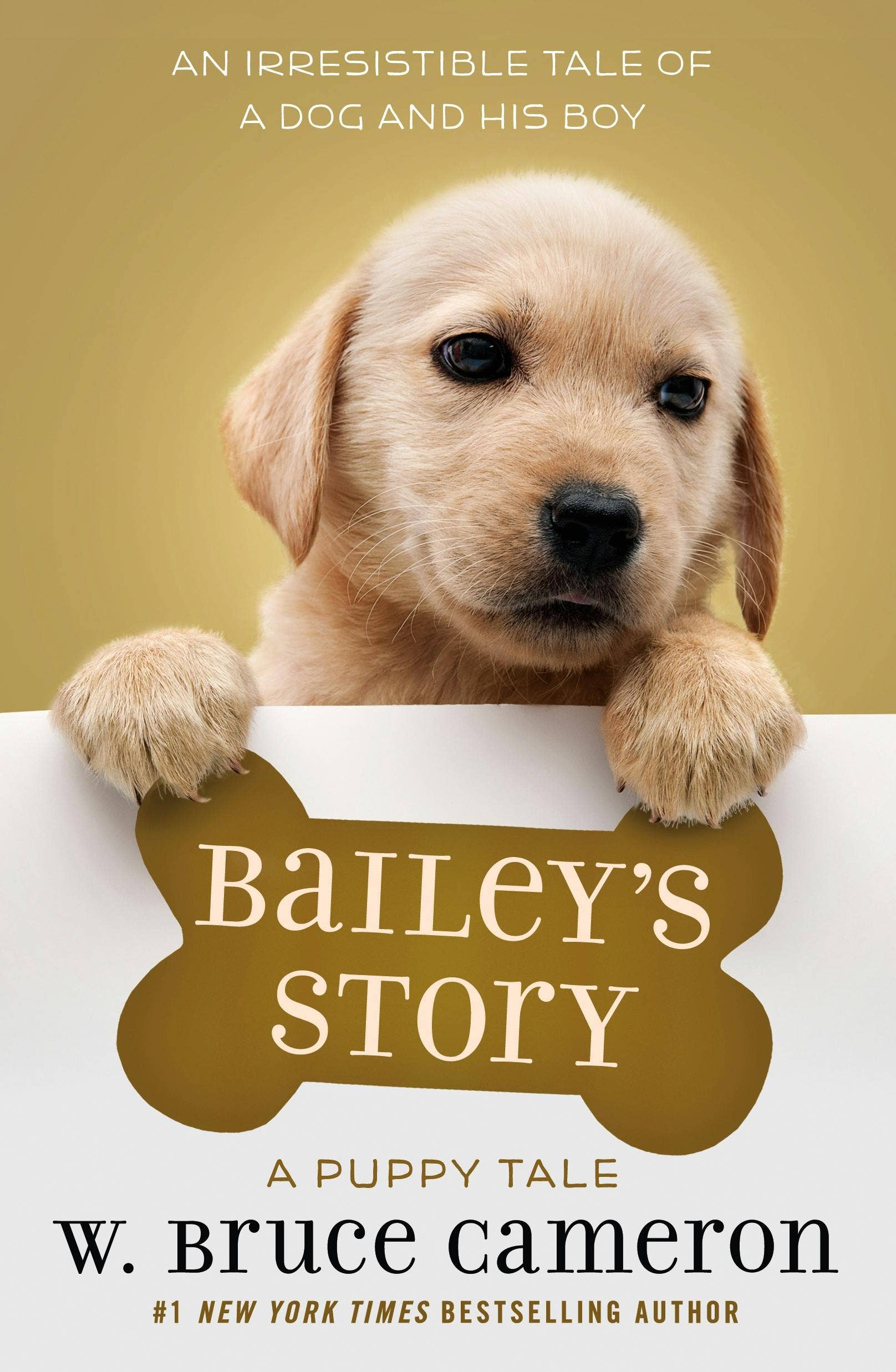 Macmillan Publishers - Wholesale Preschool Book (3-5) - Bailey's Story: A Puppy Tale0