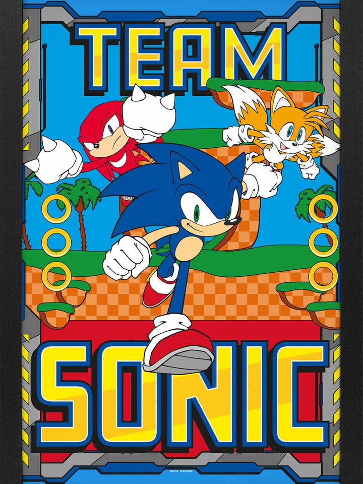 Sonic - Team Sonic Framed Print for wholesale by Pyramid America