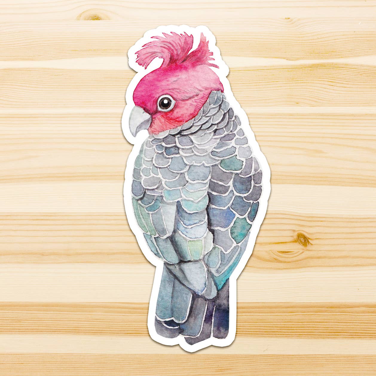 Watercolour By Cat - Vendita all'ingrosso Adesivo - Adesivo in vinile con grande uccello australiano5