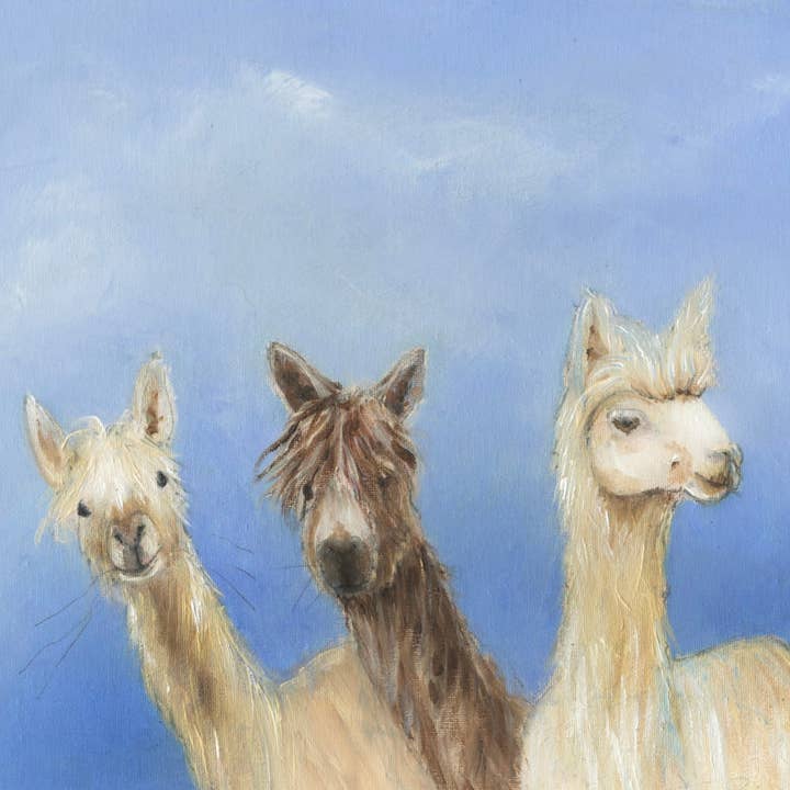 Impresión enmarcada Los tres mosqueteros alpacas para venta al por mayor de Wendy Laverick