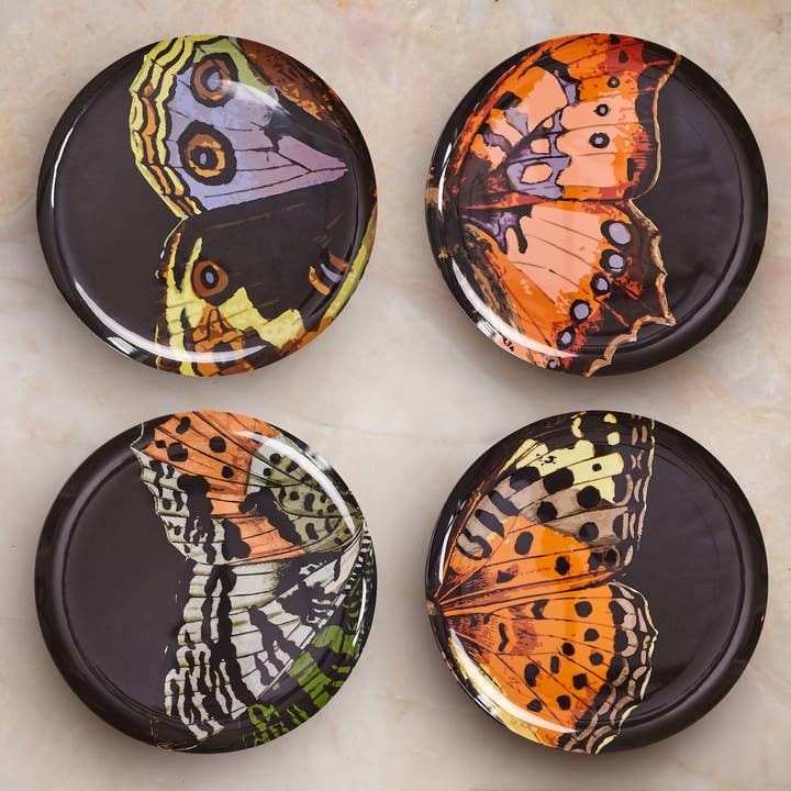 THOMASPAUL - Wholesale Dinner Plate - Metamorphosis Dinner Plates Set of 4