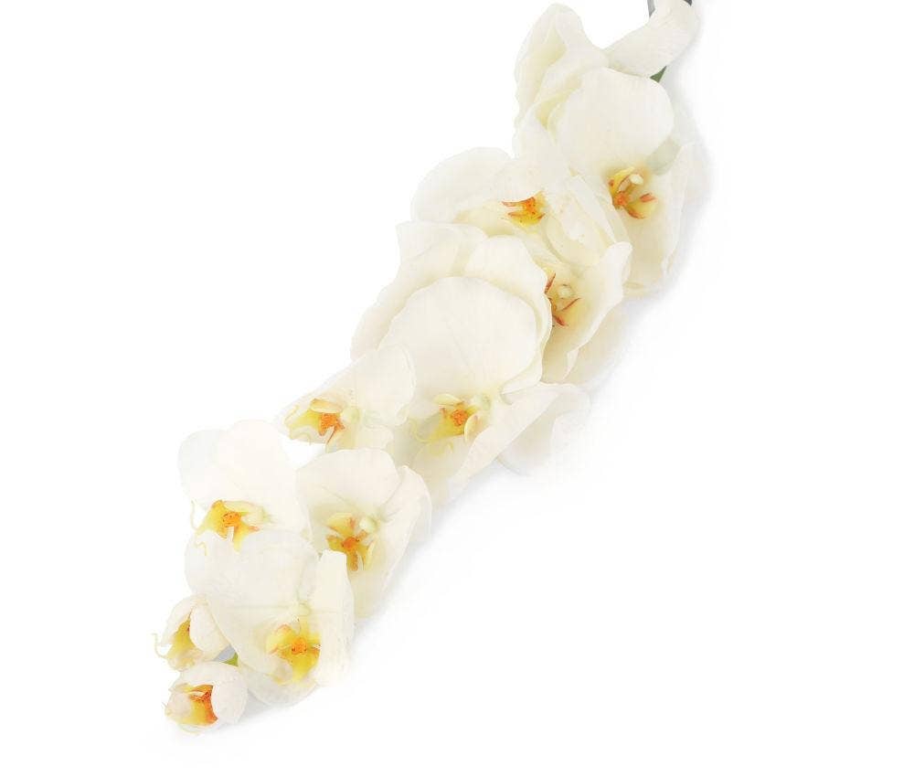 Closer2Nature – wholesale Artificial flowers – Artificial 109cm Single Stem White Phalaenopsis Orchid3