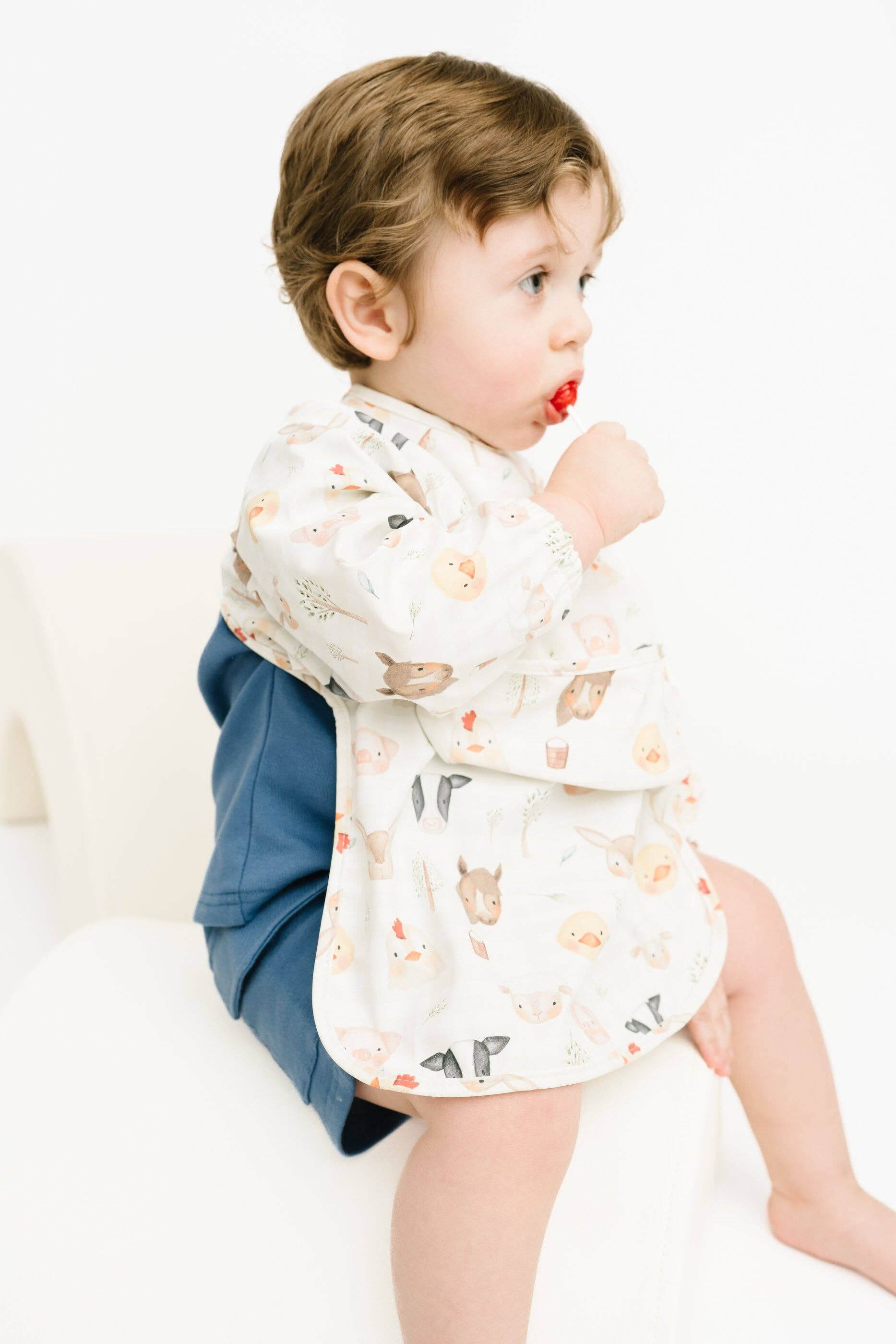 Little One Shop - Wholesale Clothing Set - Baby - Farm Friends Bib9