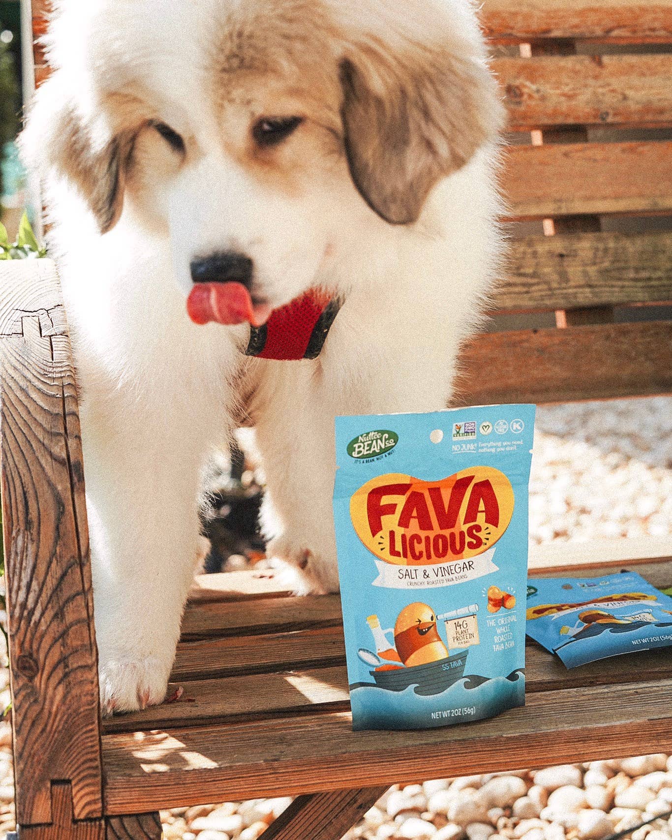 Favalicious® - Wholesale Chips - Favalicious Salt and Vinegar - Pack of 36 x 2oz bags7