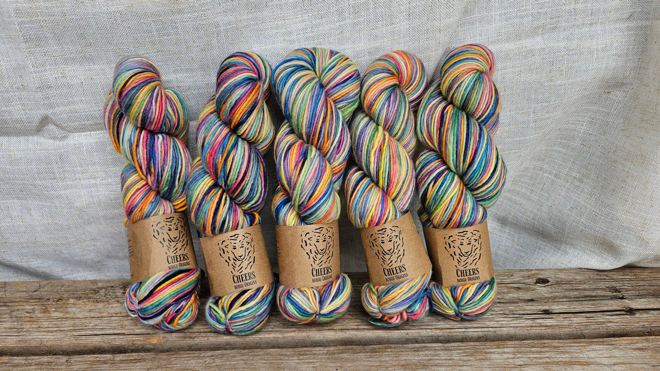 Koigu Wool Designs – wholesale Yarn – Cheers DK/Worsted50