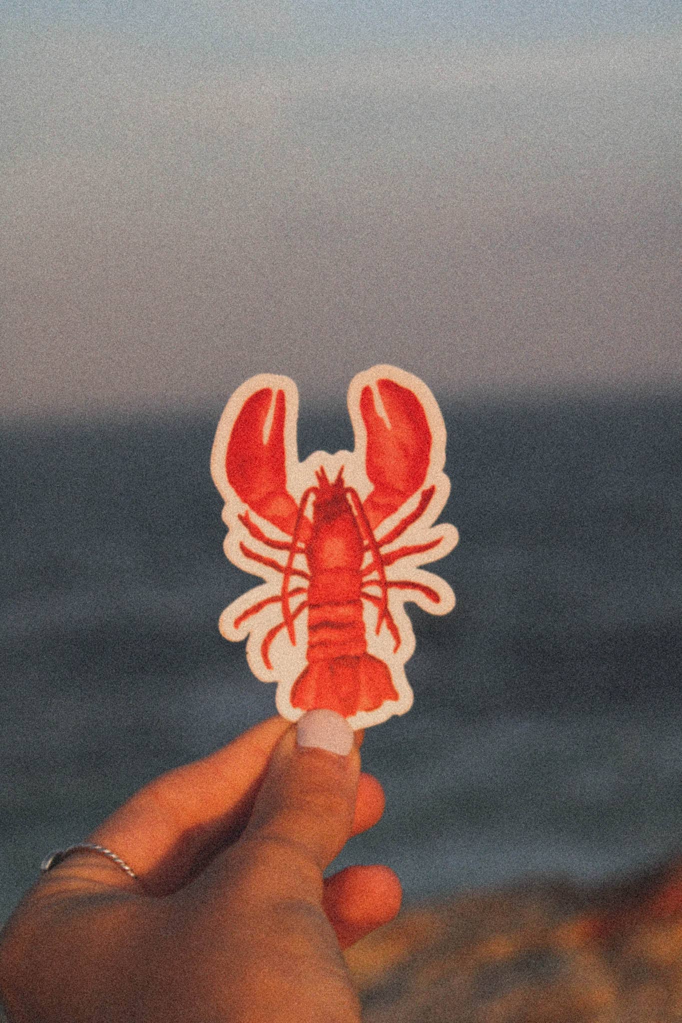 Scribbles and Doodlez - Wholesale Sticker - Red Maine Lobster | Nautical Watercolor Sticker1