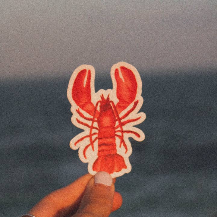 Scribbles and Doodlez - Wholesale Sticker - Red Maine Lobster | Nautical Watercolor Sticker1