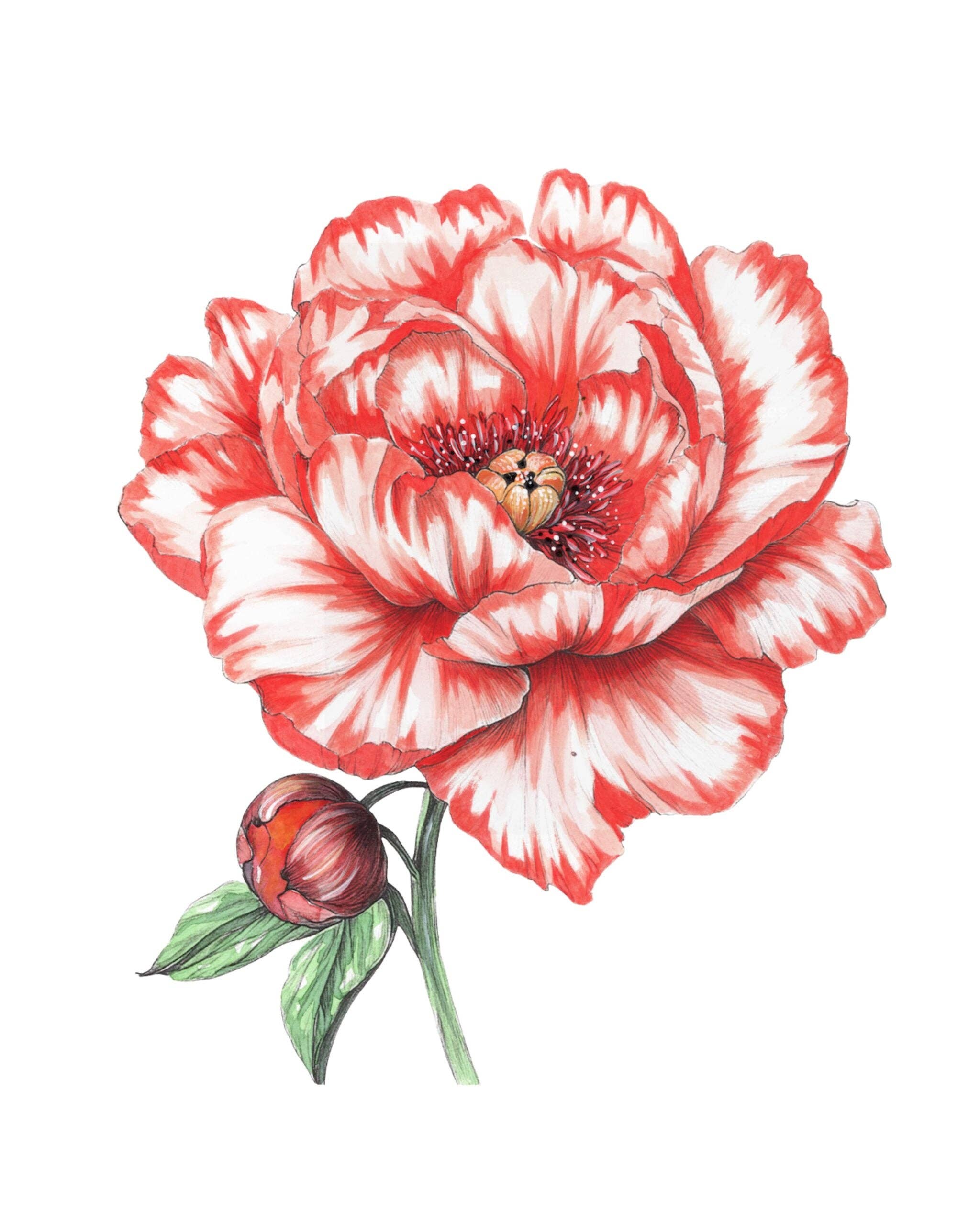 willowwolfe - Wholesale Sketchbook/Sketchpad - Bold Flowers Watercolor Workbook10