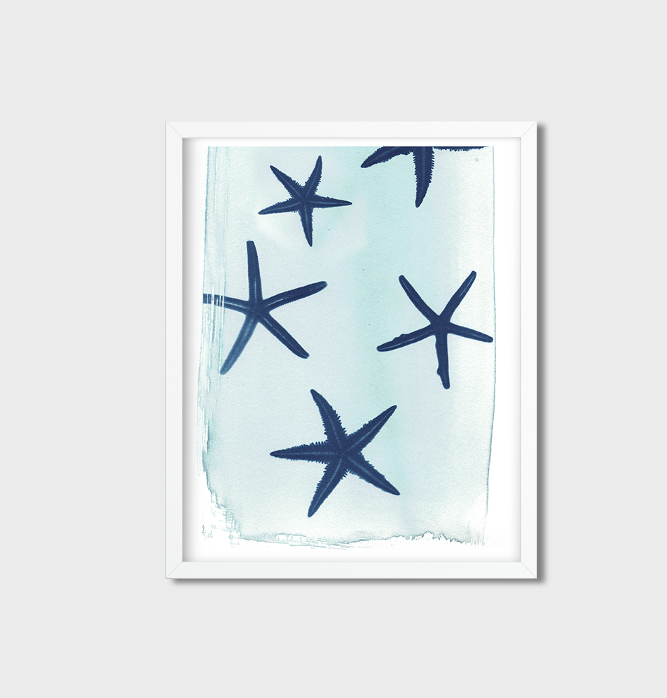 Salty INKS - Wholesale Kunstprint - Zeester • Fijnkunst Print0