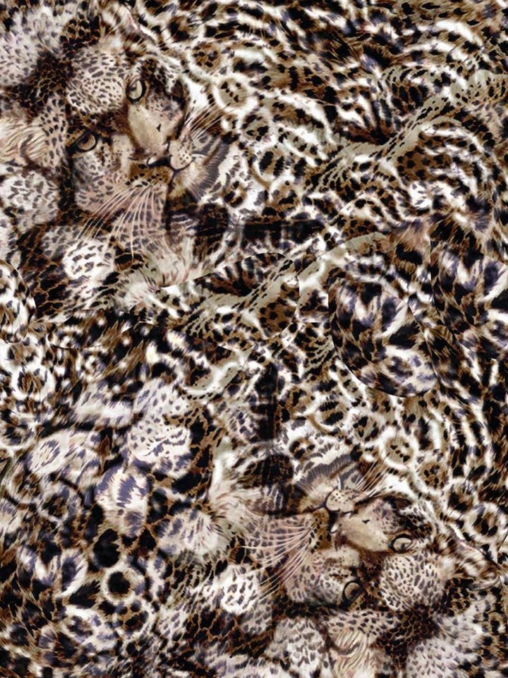 Brown Leopards for wholesale by Mila+Mate