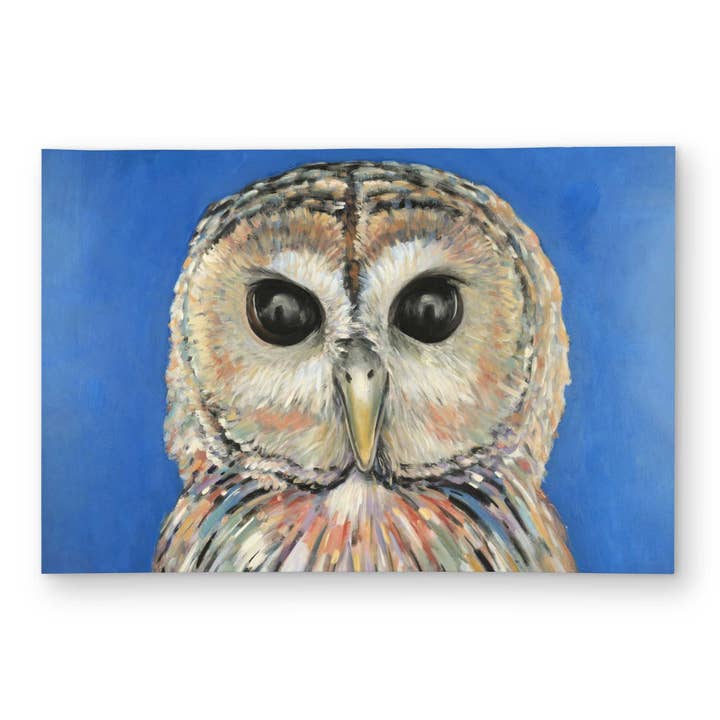 Tapete de Exterior com Coruja Malhada Colorida | Decoração de Animais e Aves por atacado de BEGIN HOME DECOR