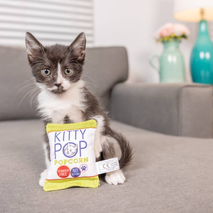 Huxley & Kent - Wholesale Speeltje - Kat - Kitty Pop Katten Speelgoed6