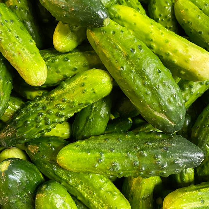 OlyKraut - Wholesale Pickled Vegetables - Organic Sour Pickles1