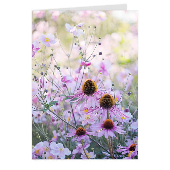 Vikbart "Echinacea älskar Anemon" för wholesale av paruspaper. nutzfeine papeterie