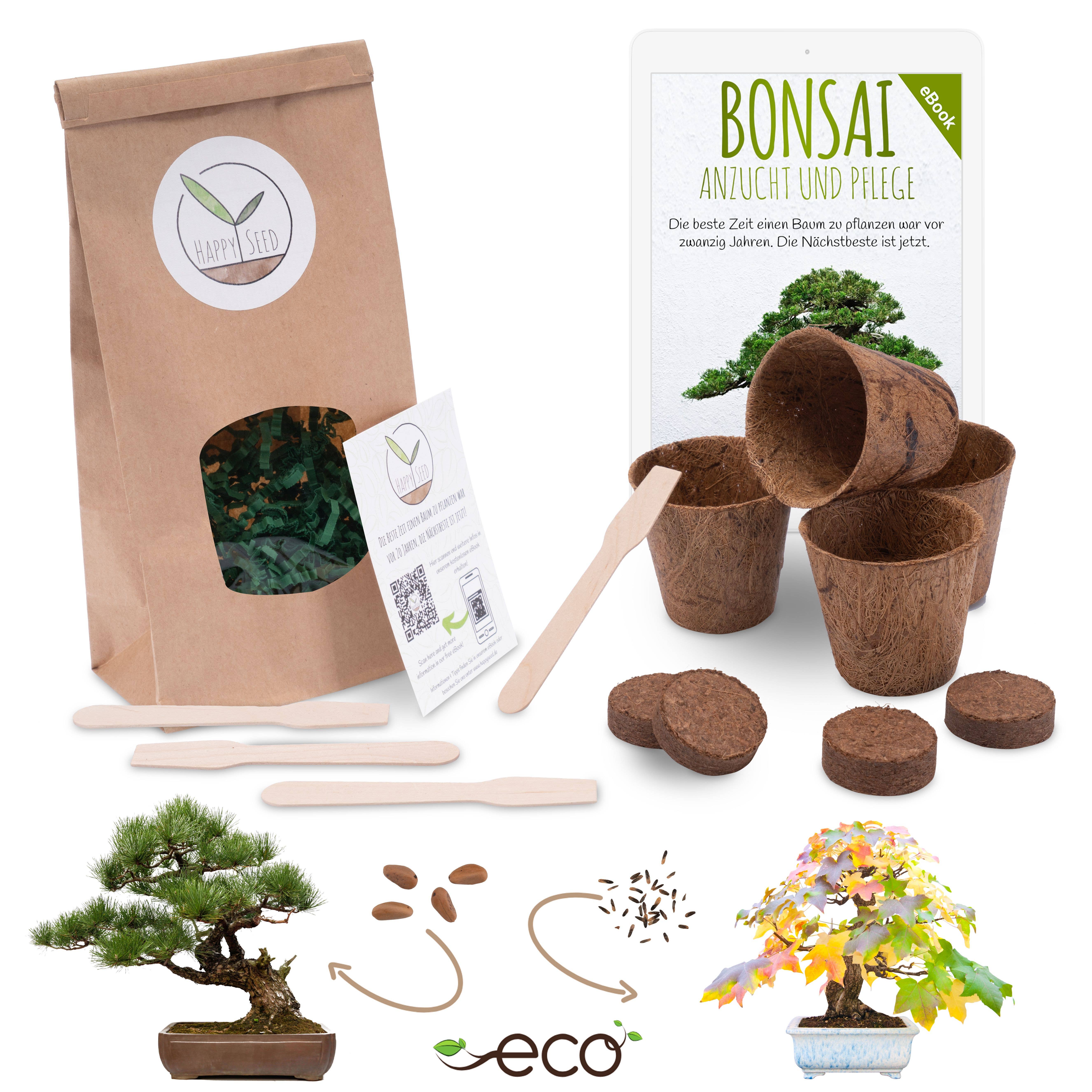 Vendix GmbH - Wholesale Plant Seeds - Bonsai starter kit growing kit including free eBook8