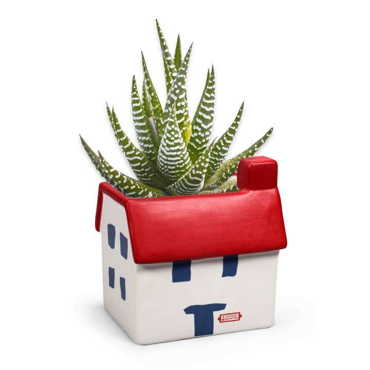 House Shaped Ceramic Planter Plant Pot Coastal Beach Holiday for wholesale by Half Moon Bay By Design