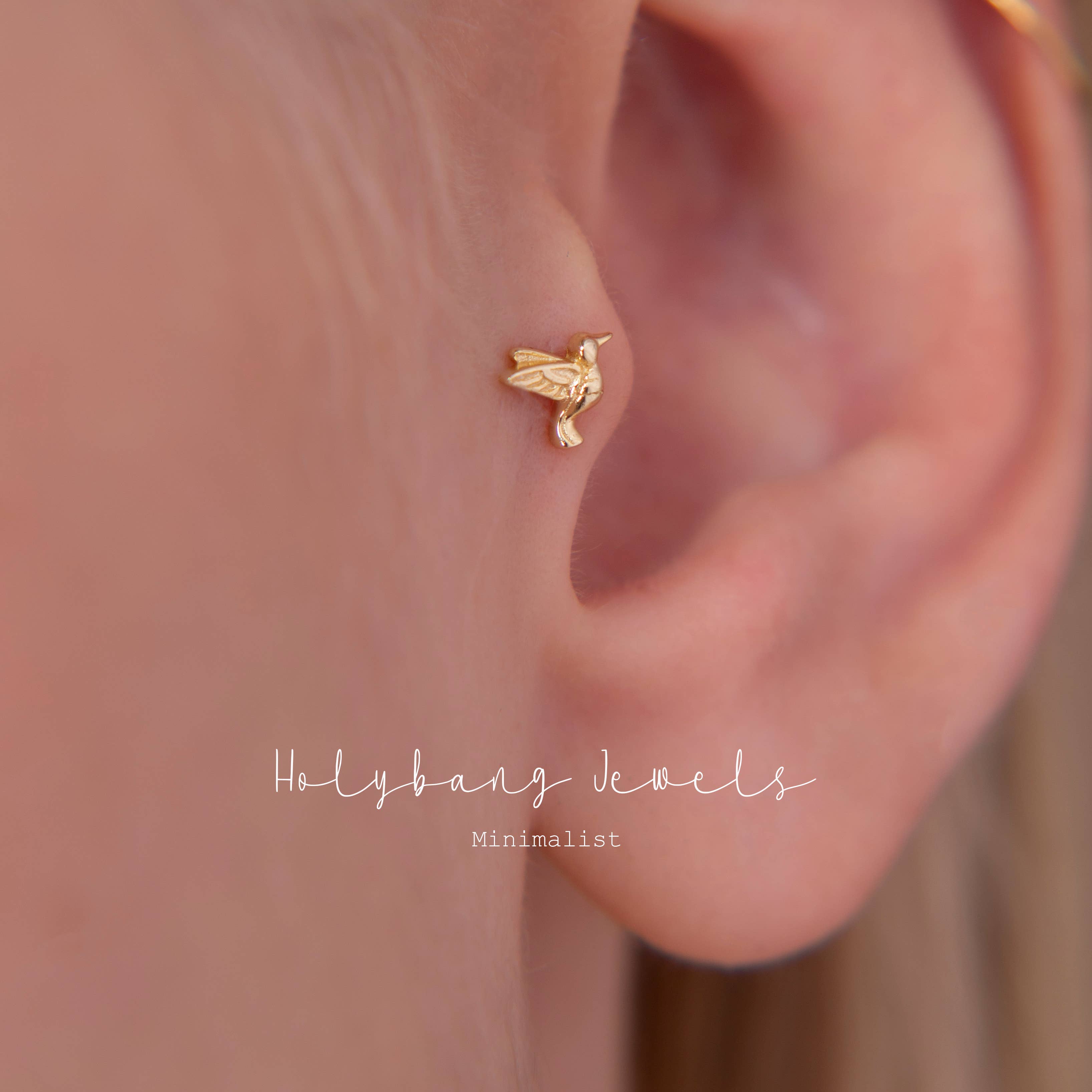 HolyBang Jewels - Wholesale Stud/Post Earrings - BIRD INTERNALLY THREADED LABRET 0