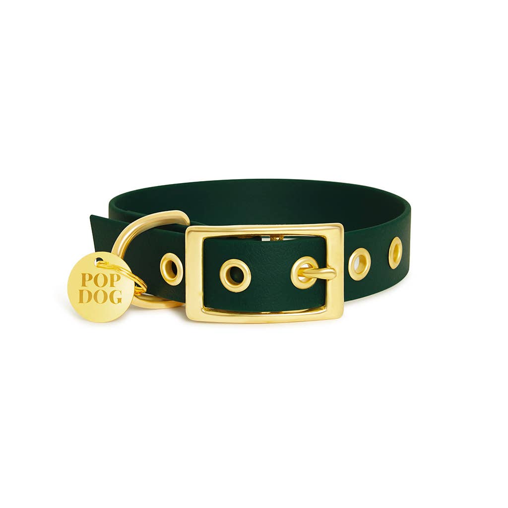 Pop Dog - Vente Collier – chien - Le collier à œillets ÉLÉGANT 😎