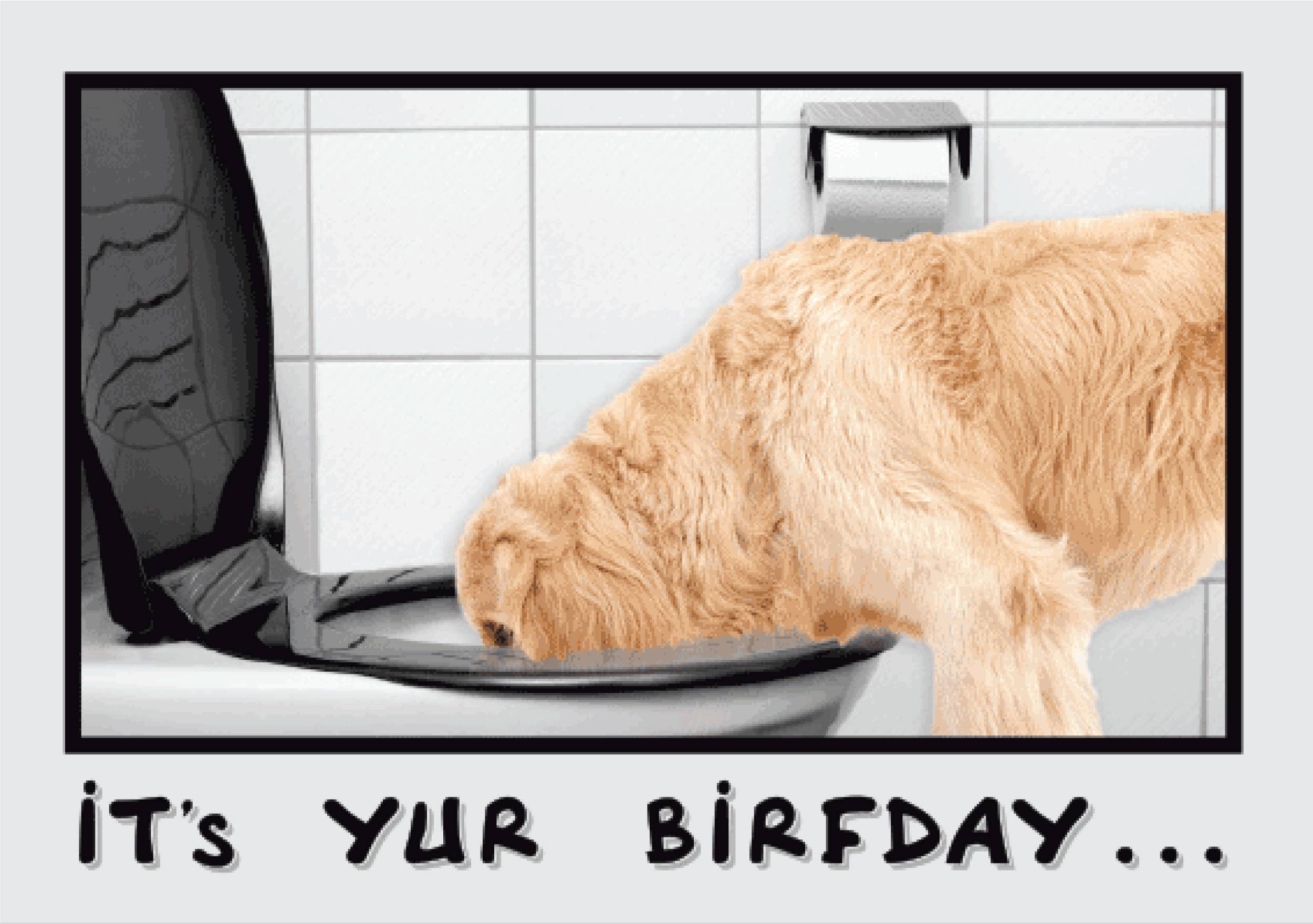 Dog Speak – Großhandel Geburtstagskarten – Geburtstag - Trinke verantwortungsvoll3