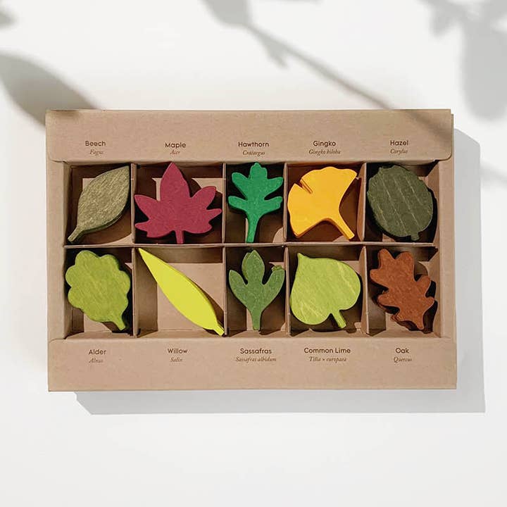 Moon Picnic UK - Wholesale Wood toy – Child - Woodland Leaves0