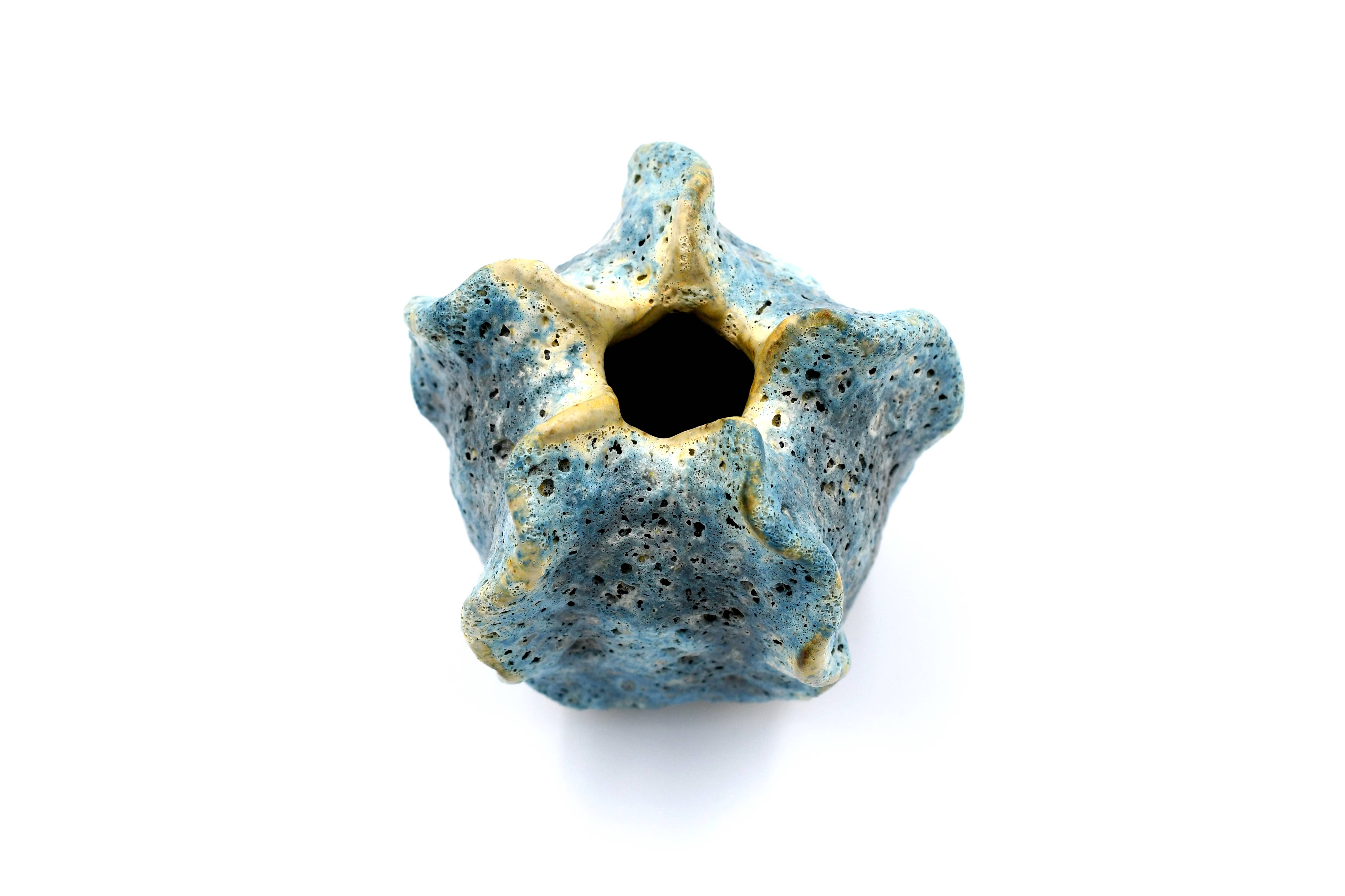 Art Floral Trading LLC - Venta al por mayor Pufs/esponjas de baño - Esponja de Baño Mini Luffa - Azul Marino3