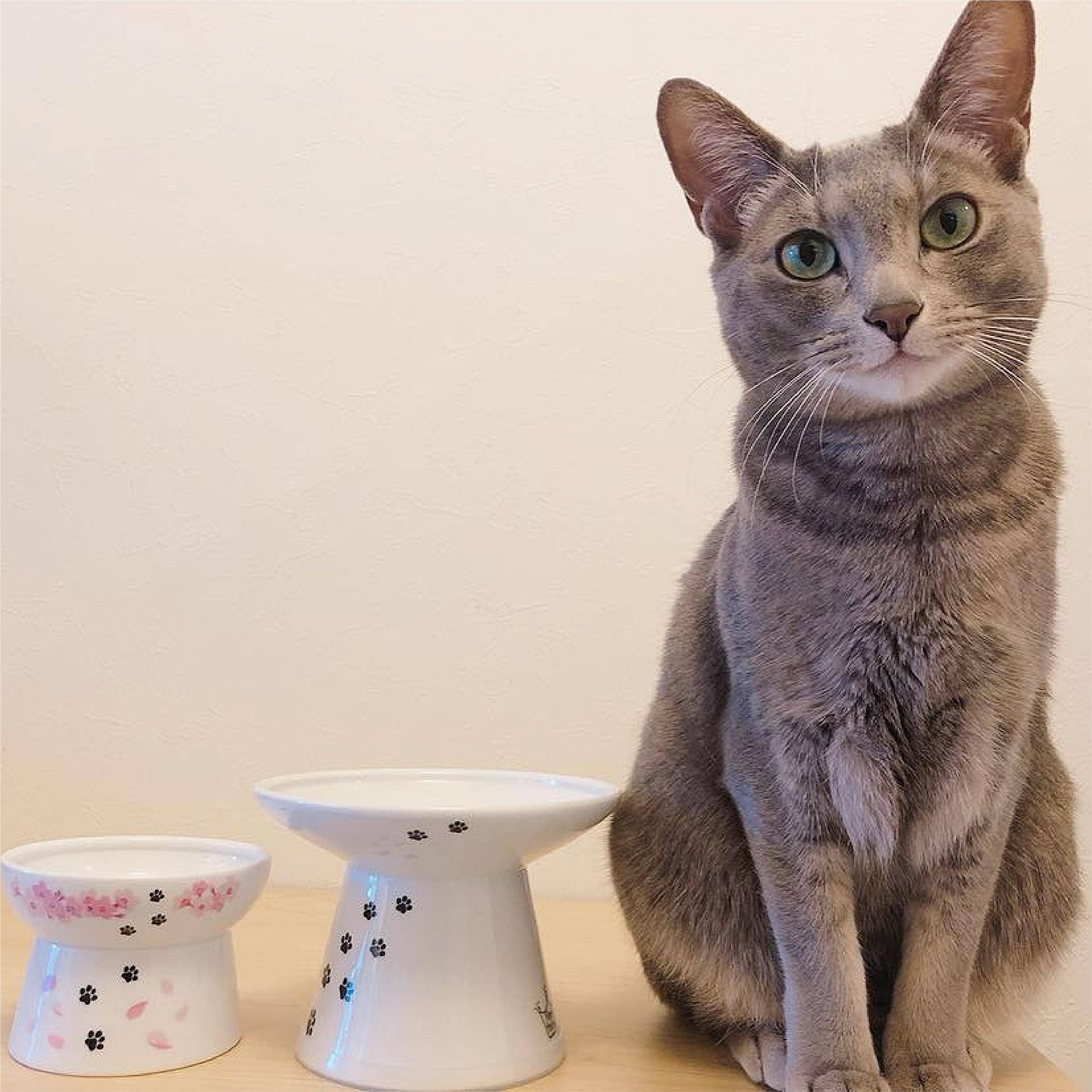 MOON-X USA, INC. - Wholesale Pet Bowl - Cat/Dog - Extra Wide Raised Cat Food Bowl (Cat)8