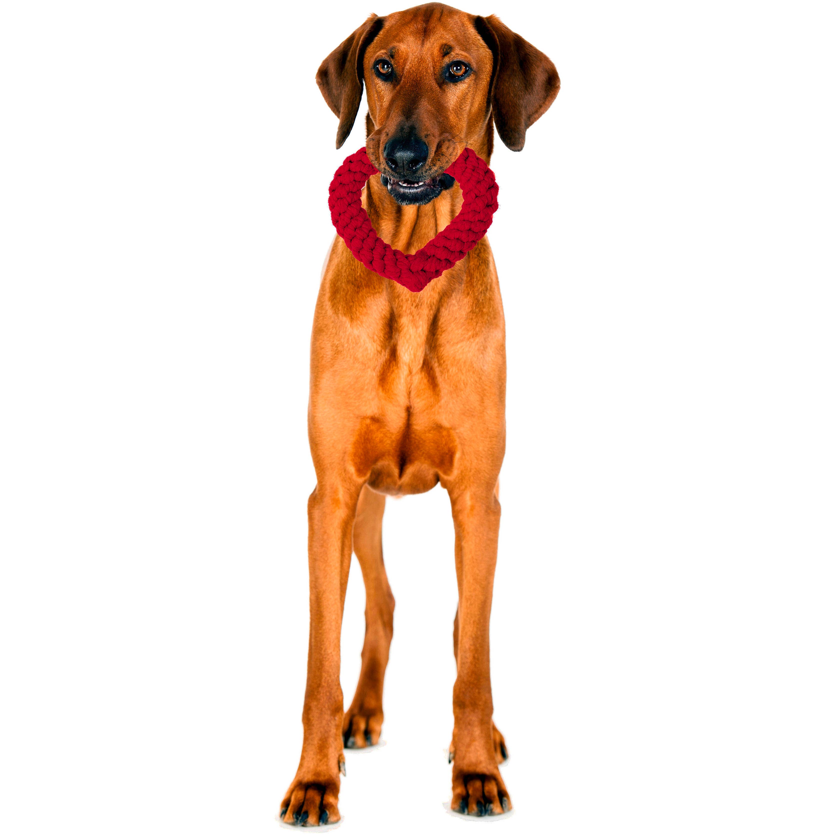 LABONI - Volentis GmbH - Wholesale Pet Rope Toy - Dog - Hertha Heart9