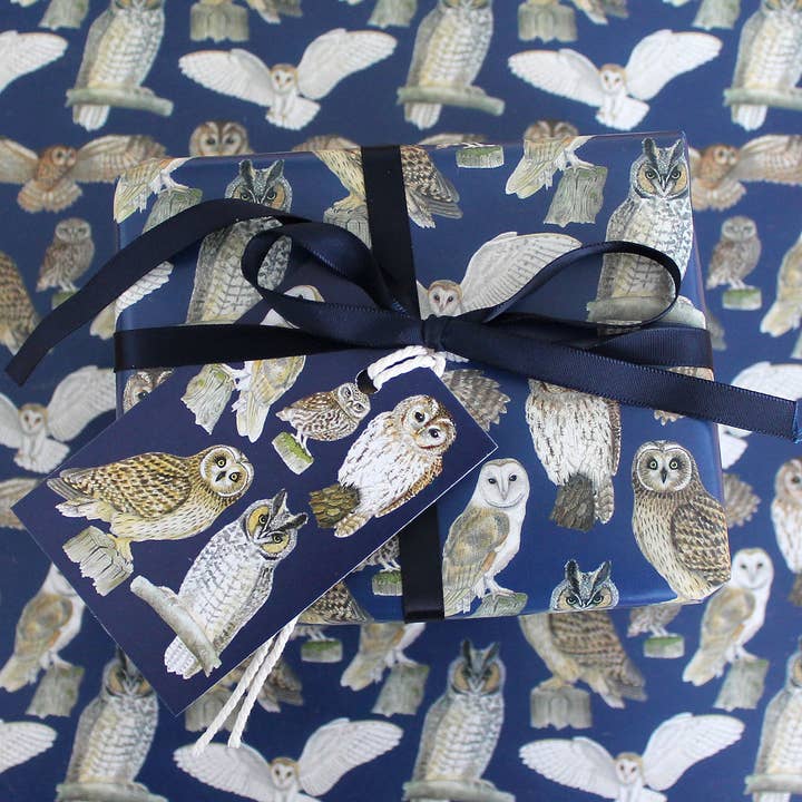 British Owls Gift Wrap and Tags for wholesale by Rie Designed