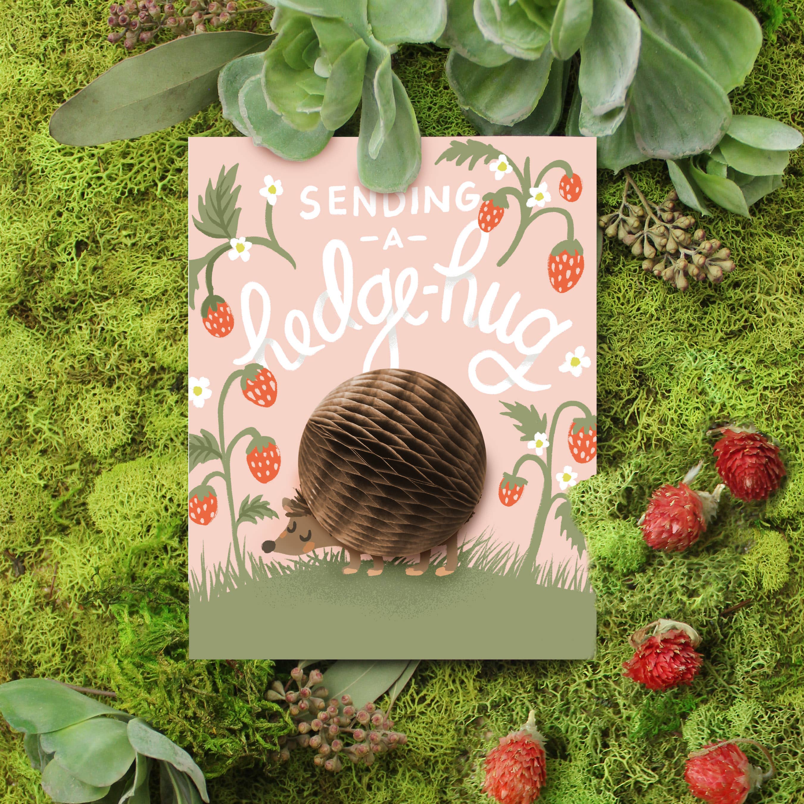 Inklings Paperie - Wholesale Friendship Card - Pop-up Card - Hedgehug - Friendship/Encouragement2