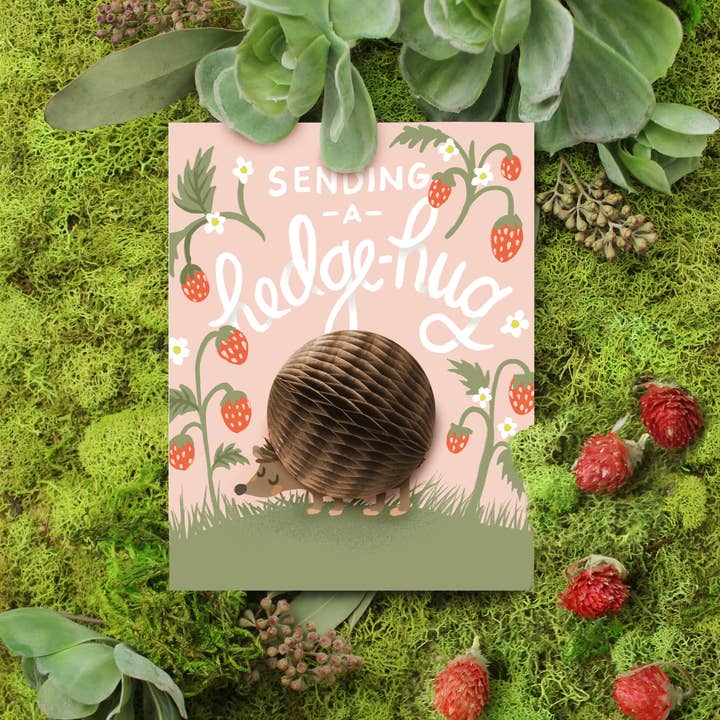 Inklings Paperie - Wholesale Friendship Card - Pop-up Card - Hedgehug - Friendship/Encouragement2